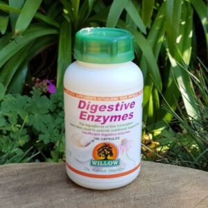 Willow Digestive Enzymes