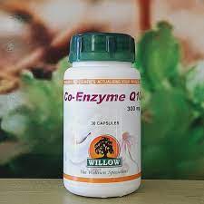 Willow Co-Enzyme Q10