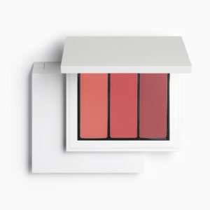 Zara Lip and Face Palette